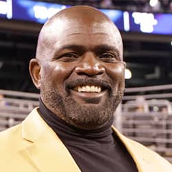 Lawrence Taylor Net Worth