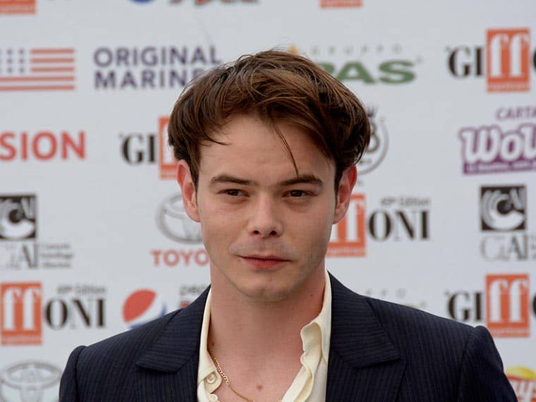 Charlie Heaton Net Worth