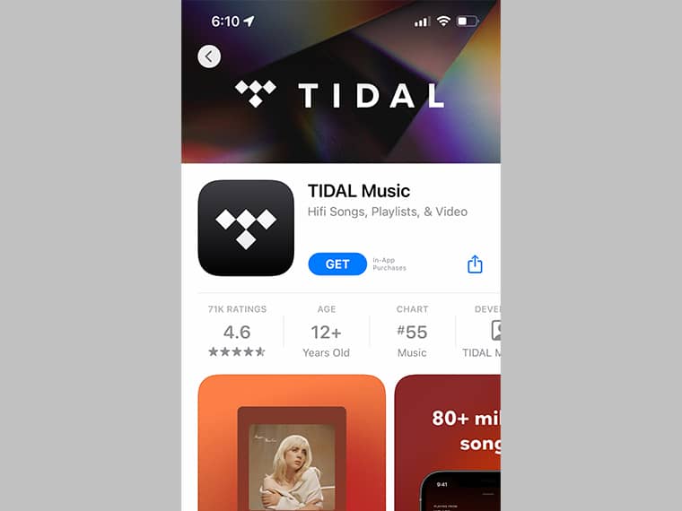 Tidal Net Worth 2024 How Tidal Makes Money?