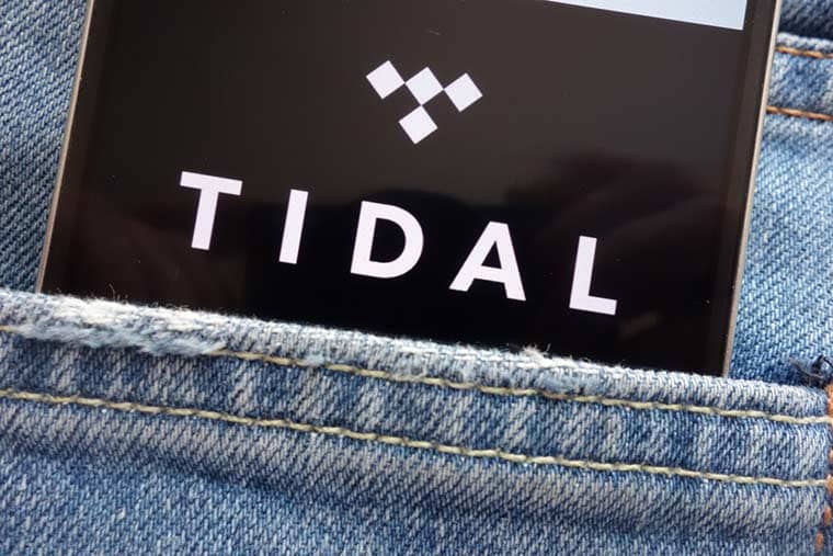 Tidal Net Worth